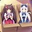 NEKO