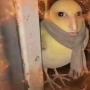 Buh