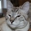 vladka's avatar