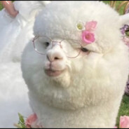 用枯草做的指环你会觉得荒诞吗