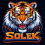 Mr. SolEk
