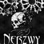 Nerzwy