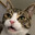 Binsky avatar