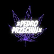 ``PEDRO``