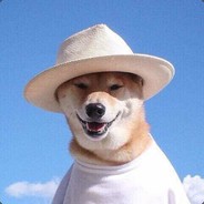 善良的农场主lsj