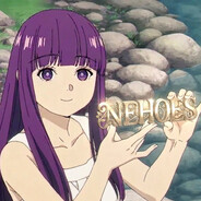 nehoes