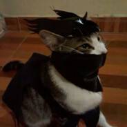 Zenko Kommandant