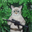Felino Táctico