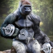 APE THE BODYBUILDER