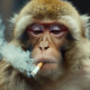 ApeKonge🐒💋