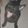 Black Cat's Avatar