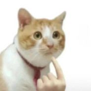 再也不要发烧啦