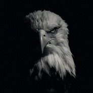 callibri - steam id 76561199847477013