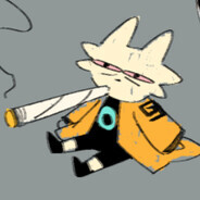 cool cat