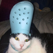 I need gum this perc aggrivatin