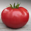 Pomidor