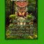 IRISH RANGER