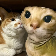 我说爆裂黎明你尔多龙吗