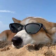 我直接裂开好吧