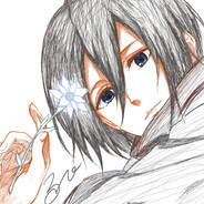 mikasa