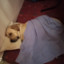 sleepyboi