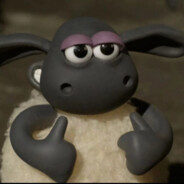 子斐最爱西红柿蛋汤