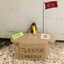 Turk Embassy