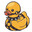 the duck dom
