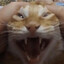 Evil Bingus