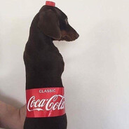 ᴄʜᴜᴜʀᴜ