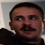 brzoza