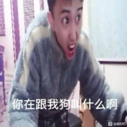 摇头晃脑高启盛