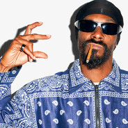 Monesy OficjalnieCASE.GIFT