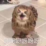 我睡觉时候不困