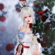 茶青青青青qaq