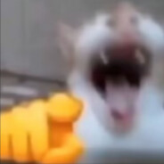 富强民主文明和谐