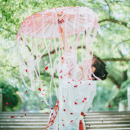 菜狗很乖，大佬带带