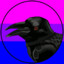 Harlequin_Corvid