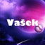 Vasek