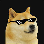 Cool Doge