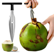 coconut driller