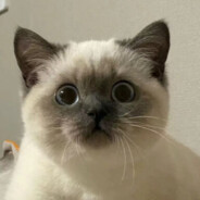 狂扇聋子那张好嘴