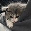Asya