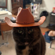 Rambo