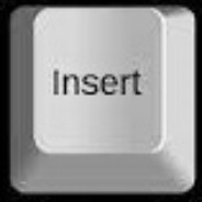 INSERT