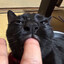 Fingie Freak