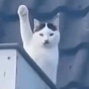 Narkelis