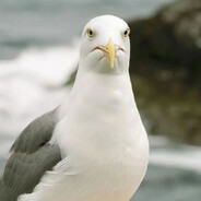 幻想乡博丽灵梦