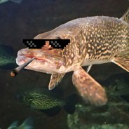pike avatar