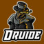 Druide